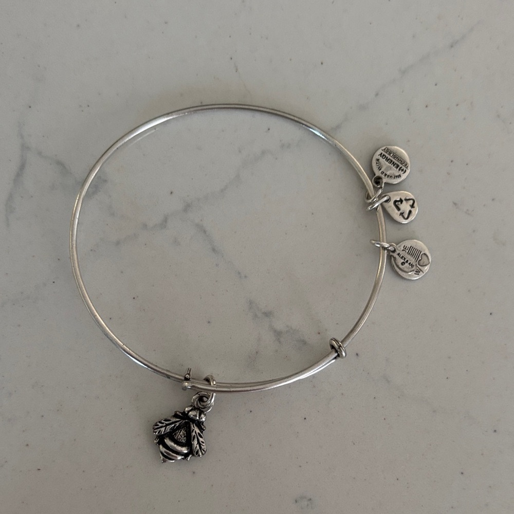 Alex and Ani Silver Charm Bracelet
